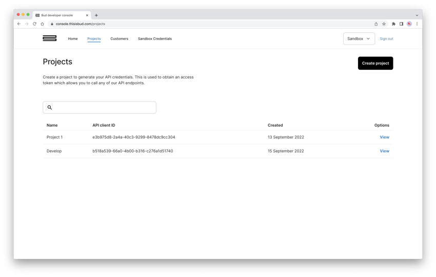 dev-console-project-page
